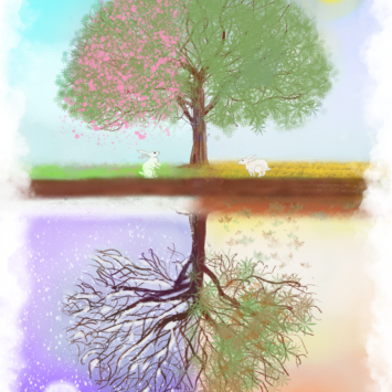 Seasons