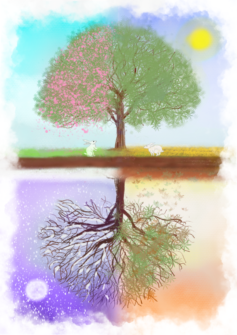 Seasons
